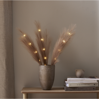 Decorative Twig Plumes