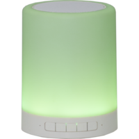 362-81_FL_006.png
