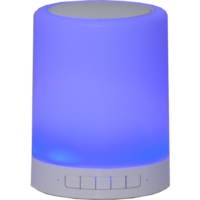 362-81_FL_002.png