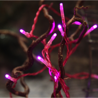 Light Chain Trendlites