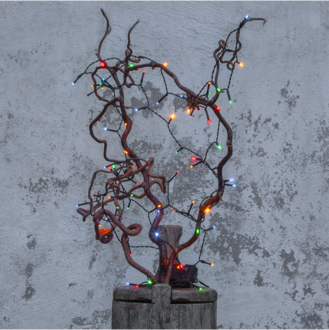 Light Chain Akku