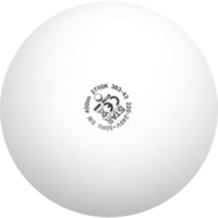 363-43_FL_003.png