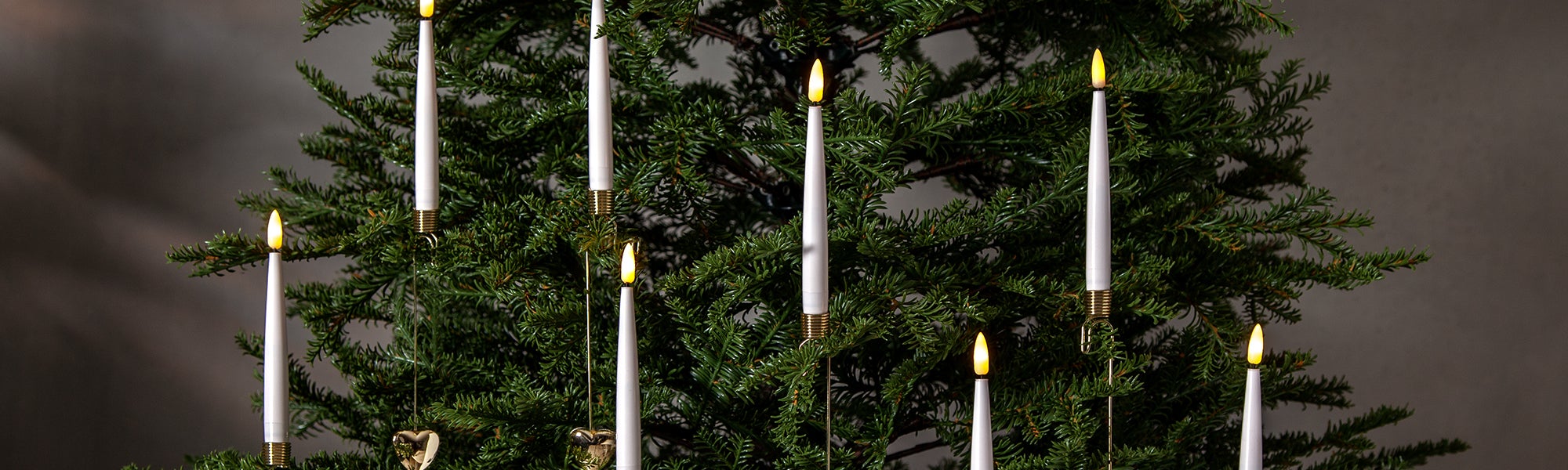 Christmas Tree Lights