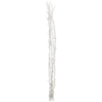 584-03_FL_001.png