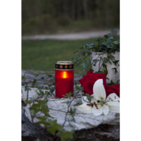 064-82_MB_002.png