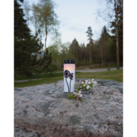 064-98_MB_003.png