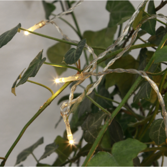 Light Chain Trendlites