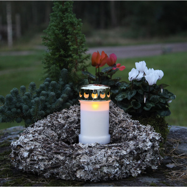 Display Serene 12 p