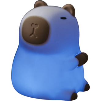 LED Nightlight Functional