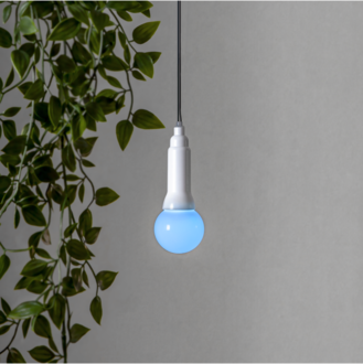 Light Chain Lighty