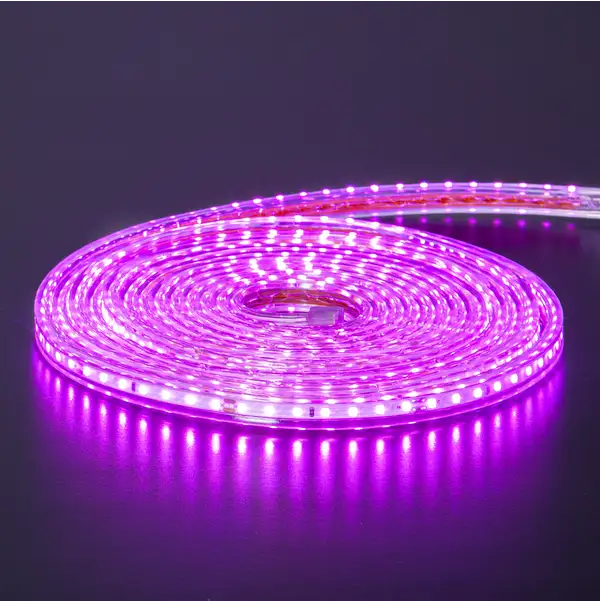 Lichtschlauch FlatSMDLED