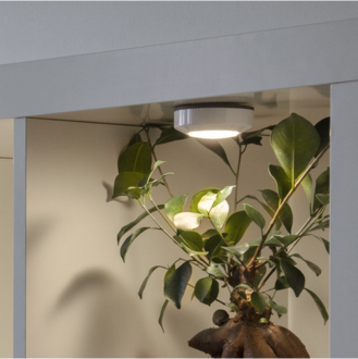 LED Lamp Functional