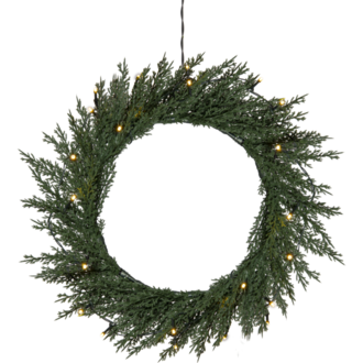 Wreath Thuja