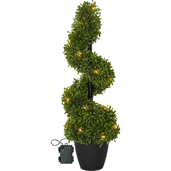 Decorative Tree Buxbom