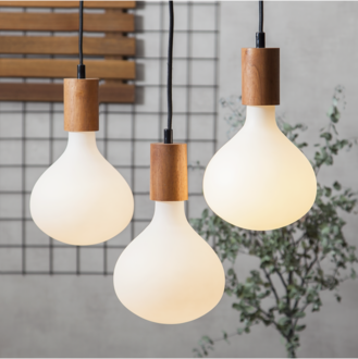 LED-lamp E27 R160 Funkis 