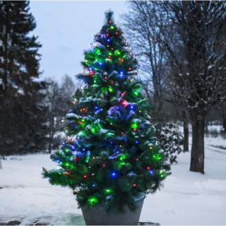 Christmas Tree Light Serie LED