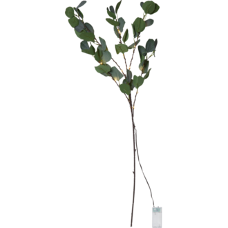 Decorative Twig Eucalyptus