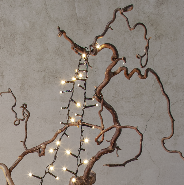 Light Chain Shiny Warm White