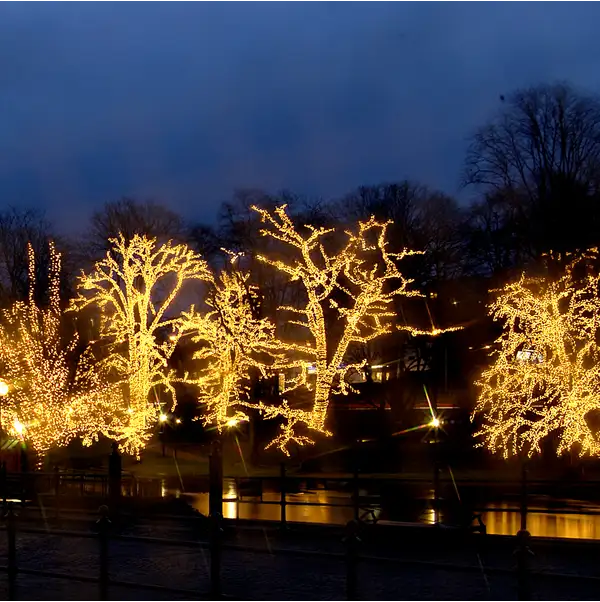 Curtain Lights Extra System LED