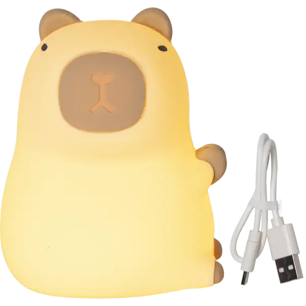 LED Nightlight Functional