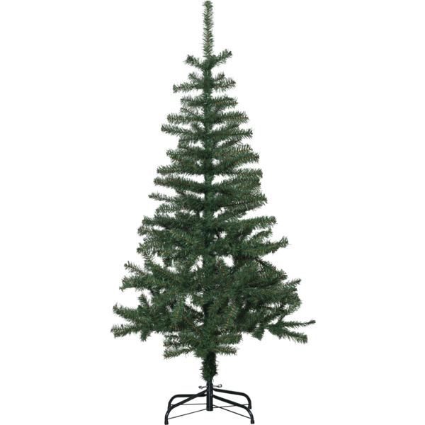 Christmas Tree Dalbo