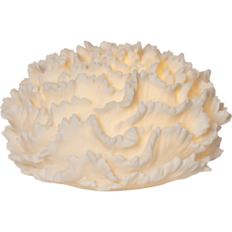 Outdoor Decoration Sandy Coral