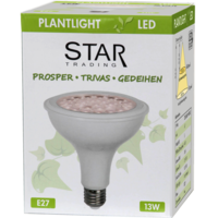 Star trading lights clearance