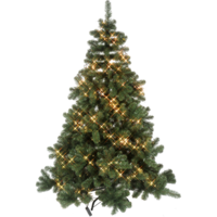 608-80_FL_001.png