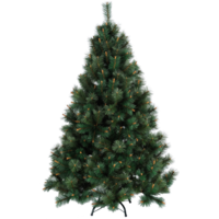 610-13_FL_001.png