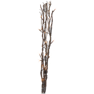 Decorative Twig Willow