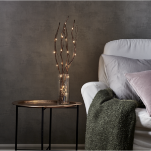 Decorative Twig Willow