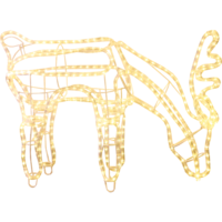 802-29_FL_001.png