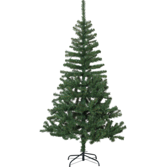 Christmas Tree Dalbo