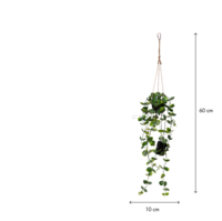 857-56_MT.png