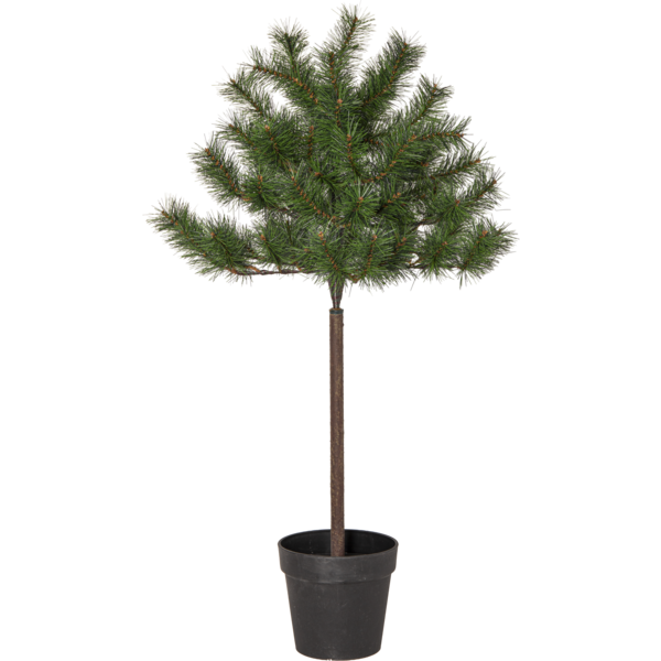 Christmas Tree Tallis