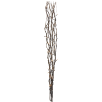 584-04_FL_001.png