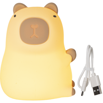 LED Nightlight Functional