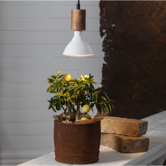 LED Lamp E27 PAR38 Plant Light