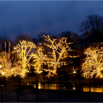 Net Light Extra System LED