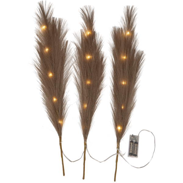 Decorative Twig Plumes