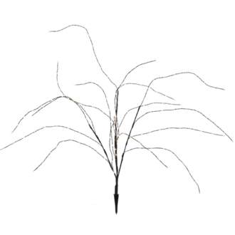 Decorative Twig Reedy