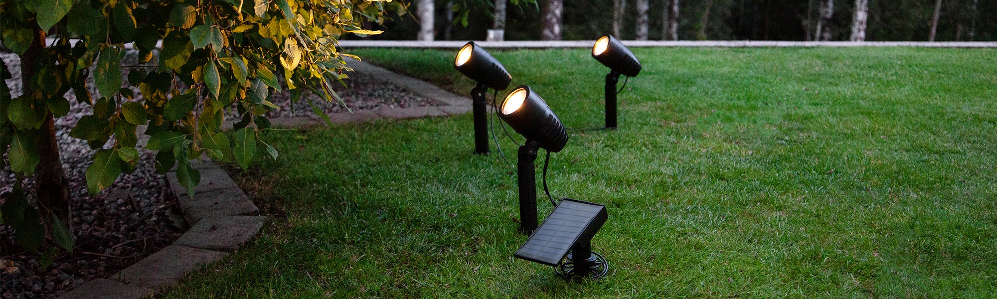 Spotlights