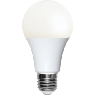 LED Lamp E27 A65 Opaque Basic RA90