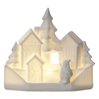 991-20_FL_001.png